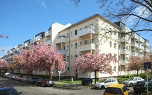 Park-Ensemble in Friedrichsfelde